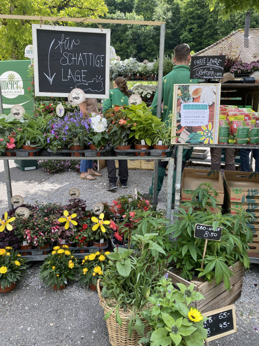 Bildschirm­foto 2026-02-25 um 17.15.25.png