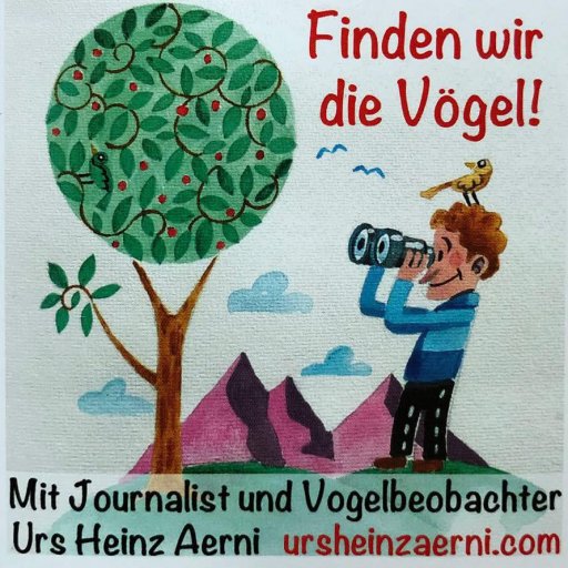 Vogelspaziergang.jpg